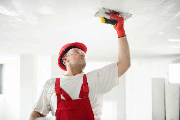 Best Drywall Removal and Disposal  in Titusville, PA